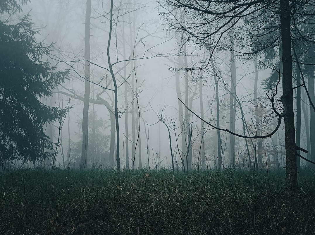 foggy historical mystery scene
